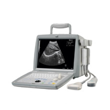 Équipement de diagnostic à ultrasons portable vétérinaire